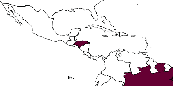 map of Manaos declivis     (Konow, 1906)
